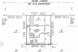 3208 W Pearl Ave, Tampa, FL 33611 - Photo 9