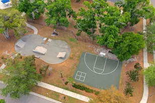 11403 Scribner Station Ln, Lithia, FL 33547 - Photo 43
