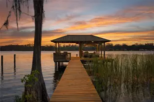 21133 Marsh Hawk Dr, Land O Lakes, FL 34638 - Photo 3