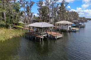 21133 Marsh Hawk Dr, Land O Lakes, FL 34638 - Photo 73