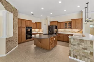 2731 Blue Springs Pl, Wesley Chapel, FL 33544 - Photo 15