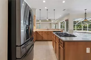 2731 Blue Springs Pl, Wesley Chapel, FL 33544 - Photo 21