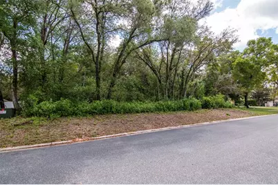 Lot 111 Winding Oaks Boulevard, Hudson, FL 34667 - Photo 13
