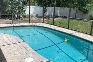 2230 Birchbark Trail, Clearwater, FL 33763 - Photo 31