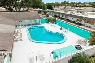 854 Sky Loch Dr N, Dunedin, FL 34698 - Photo 43