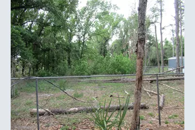 7814 Turkey Creek Road, Plant City, FL 33567 - Photo 7