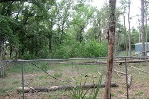 7814 Turkey Creek Rd, Plant City, FL 33567 - Photo 7