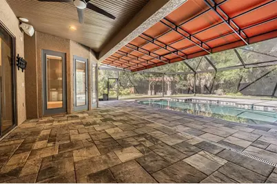 2233 Elcid Court, Palm Harbor, FL 34683 - Photo 57