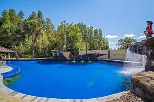 19165 Geraci Rd, Lutz, FL 33558 - Photo 45