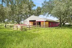 8731 Lithia Pinecrest Rd, Lithia, FL 33547 - Photo 49