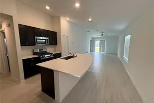 22238 Blazing Star Run, Land O Lakes, FL 34637 - Photo 9