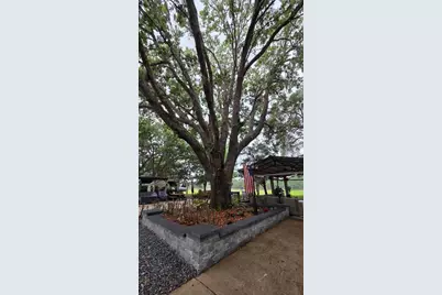 161 Horseshoe Bend, River Ranch, FL 33867 - Photo 5