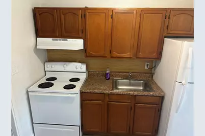 1203 E Annie Street, Tampa, FL 33612 - Photo 9