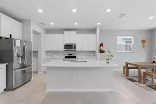 6764 Broad River Ave, Land O Lakes, FL 34638 - Photo 7