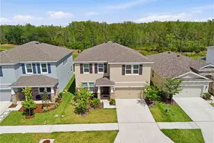 6764 Broad River Ave, Land O Lakes, FL 34638 - Photo 37