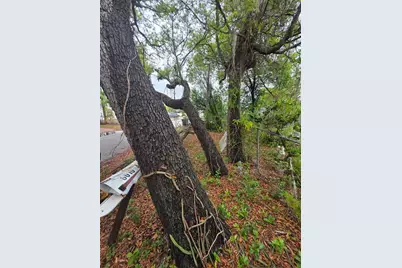 6010 S 4th Street, Tampa, FL 33611 - Photo 13