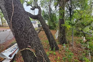 6010 S 4th St, Tampa, FL 33611 - Photo 13