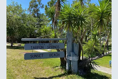 656 Windrush Bay Drive #656, Tarpon Springs, FL 34689 - Photo 33