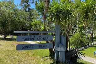 654 Windrush Bay Dr, Tarpon Springs, FL 34689 - Photo 33