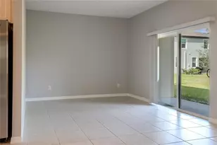 17711 Nectar Flume Dr, Land O Lakes, FL 34638 - Photo 5