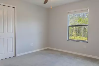 17711 Nectar Flume Drive, Land O Lakes, FL 34638 - Photo 11