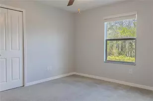 17711 Nectar Flume Dr, Land O Lakes, FL 34638 - Photo 11