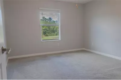 17711 Nectar Flume Drive, Land O Lakes, FL 34638 - Photo 13