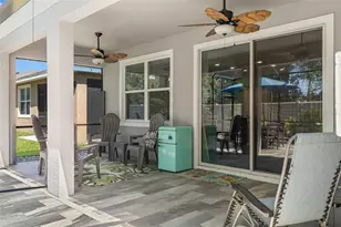 31486 Tansy Bnd, Wesley Chapel, FL 33545 - Photo 43