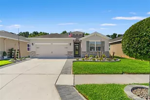 31486 Tansy Bnd, Wesley Chapel, FL 33545 - Photo 9
