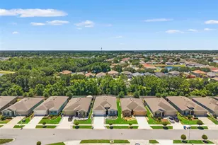 31486 Tansy Bnd, Wesley Chapel, FL 33545 - Photo 49