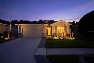 31486 Tansy Bnd, Wesley Chapel, FL 33545 - Photo 51