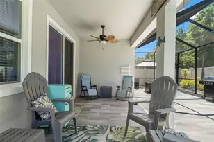 31486 Tansy Bnd, Wesley Chapel, FL 33545 - Photo 41