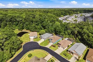 11303 Clear Oak Cir, New Port Richey, FL 34654 - Photo 65