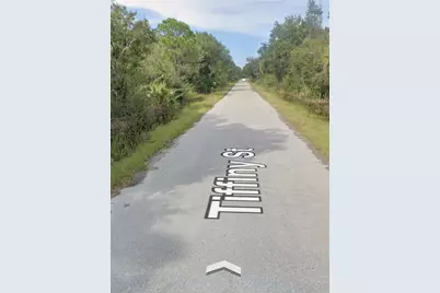 3439 Tiffiny Street, Punta Gorda, FL 33980 - Photo 3