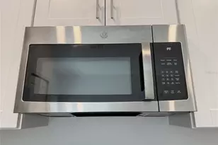 17608 Nectar Flume Dr, Land O Lakes, FL 34638 - Photo 11