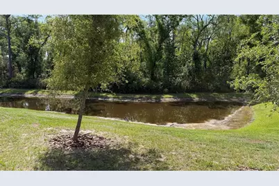 17608 Nectar Flume Drive, Land O Lakes, FL 34638 - Photo 19