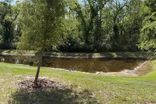 17608 Nectar Flume Dr, Land O Lakes, FL 34638 - Photo 19