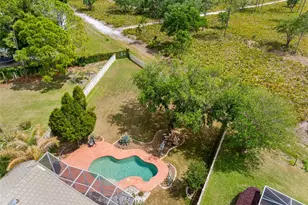 17648 Nathans Dr, Tampa, FL 33647 - Photo 35