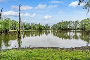 3428 Valley Ranch Dr, Lutz, FL 33548 - Photo 3