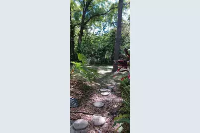 3295 Fox Chase #105, Palm Harbor, FL 34683 - Photo 33
