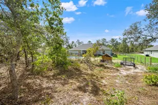 12015 Phoenix Ave, Weeki Wachee, FL 34614 - Photo 33