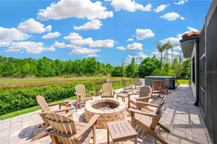 16419 Chapman Crossing Dr, Lithia, FL 33547 - Photo 3