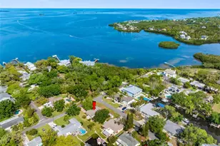 624 Orange St, Palm Harbor, FL 34683 - Photo 51