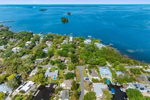 624 Orange St, Palm Harbor, FL 34683 - Photo 53