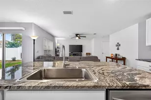 13765 Whiskey Daisy Dr, Dade City, FL 33525 - Photo 9