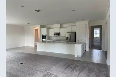 10060 Dolphin Gull Circle, Thonotosassa, FL 33592 - Photo 3