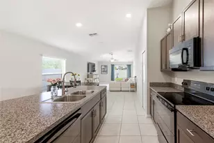 13307 Willow Bluestar Loop, Riverview, FL 33579 - Photo 7