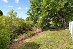 5716 Ridgestone Dr, Tampa, FL 33625 - Photo 31