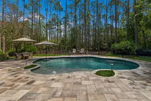 421 Pine Bluff Dr, Lutz, FL 33549 - Photo 55