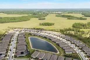 5997 Shorebird Br, Land O Lakes, FL 34638 - Photo 29